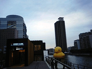 d0048332_9285987.gif