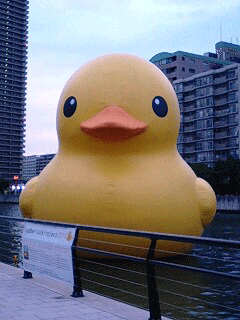 d0048332_9334259.gif