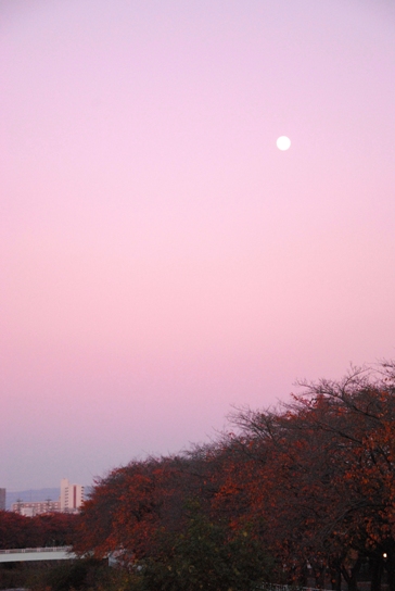 b0204337_2059675.jpg