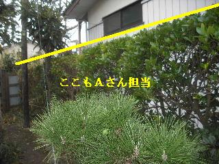 加速作業_f0031037_2033066.jpg