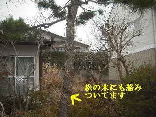 加速作業_f0031037_20352943.jpg