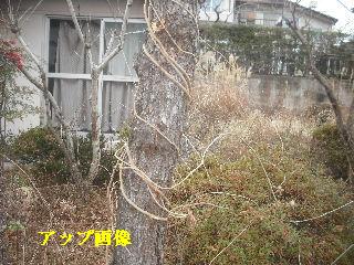 加速作業_f0031037_20353629.jpg