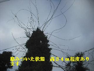 加速作業_f0031037_20354436.jpg