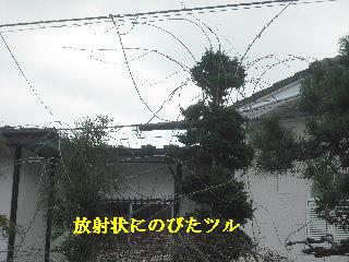 加速作業_f0031037_20355159.jpg