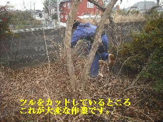 加速作業_f0031037_20355841.jpg