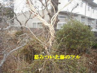 加速作業_f0031037_2035963.jpg