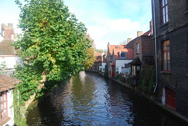 e0120938_10787.jpg
