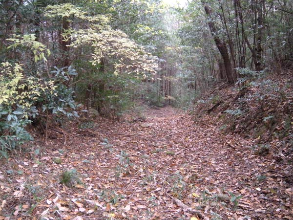 c0047341_1051051.jpg