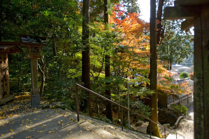 伊野天照皇大神宮　１　福岡県糟屋郡久山町_b0023047_458094.jpg