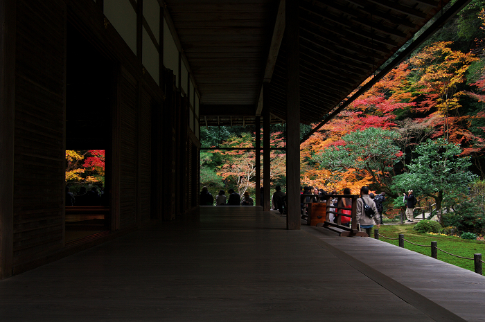 庭園美・秋　その１（南禅寺塔頭・南禅院）_f0155048_2339284.jpg