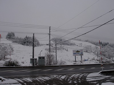 雪の朝 浦佐スキー場の様子_a0084753_8172820.jpg