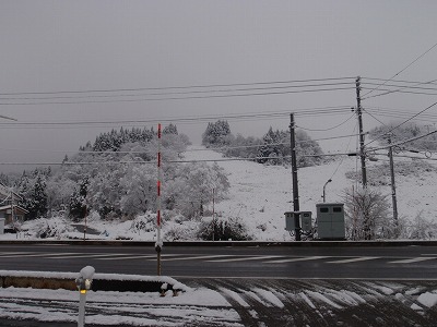 雪の朝 浦佐スキー場の様子_a0084753_8173739.jpg