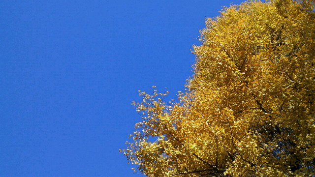 ソウトウノハレソラ_b0008655_5525045.jpg