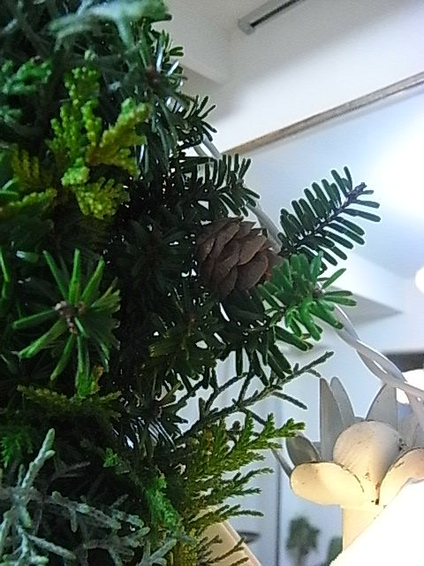 クリスマスリース_e0193358_1845592.jpg