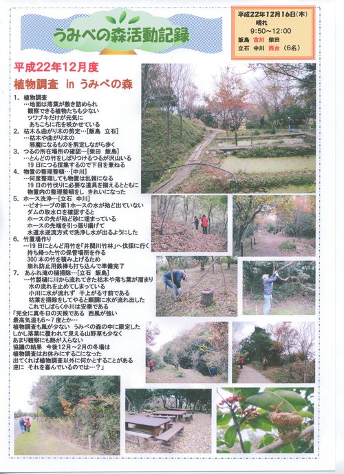 H22年12月度植物調査_c0108460_15194724.jpg