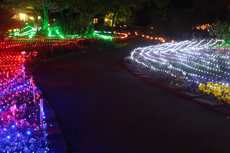 くじゅう花公園_c0213564_1224441.jpg