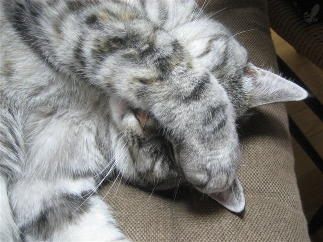 a0123465_23101629.jpg