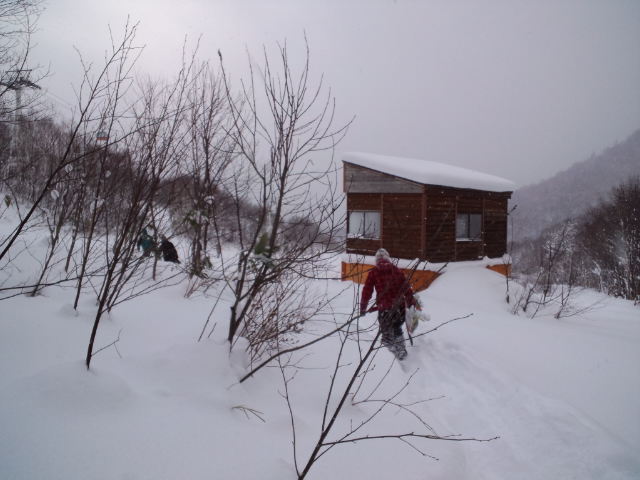 初滑り ☆ 札幌国際スキー場_c0151965_2245020.jpg