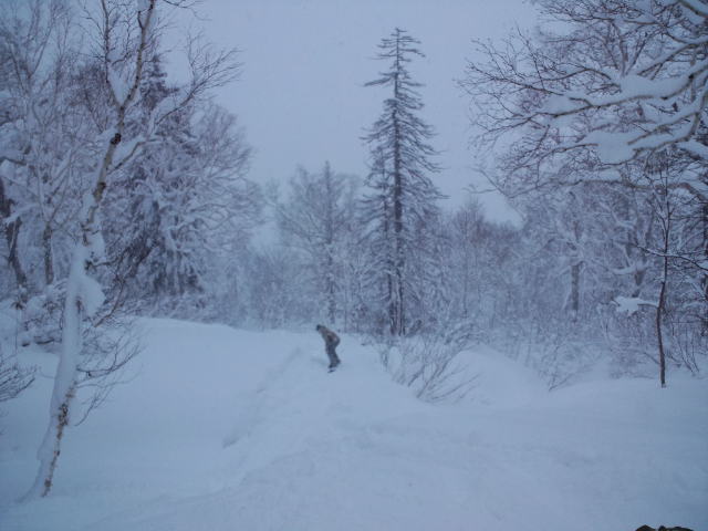 初滑り ☆ 札幌国際スキー場_c0151965_22451588.jpg