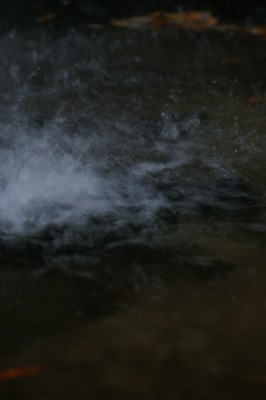 d0141365_22293388.jpg