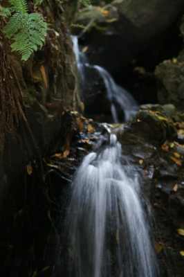 d0141365_22322410.jpg