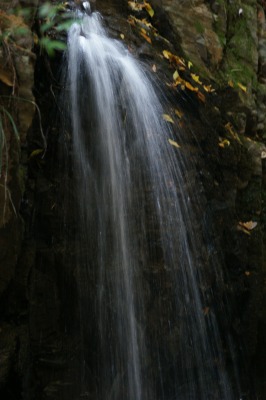 d0141365_22324110.jpg