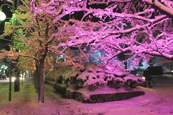 雪と輝くイルミネーション_d0131668_10382494.jpg
