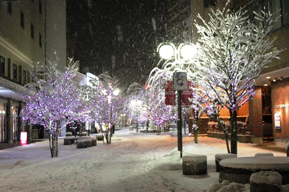 雪と輝くイルミネーション_d0131668_1039586.jpg
