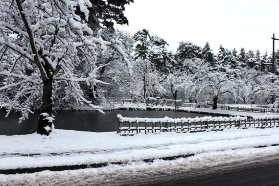 雪と輝くイルミネーション_d0131668_10435377.jpg