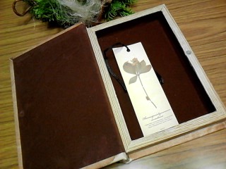 c0116072_19352411.jpg