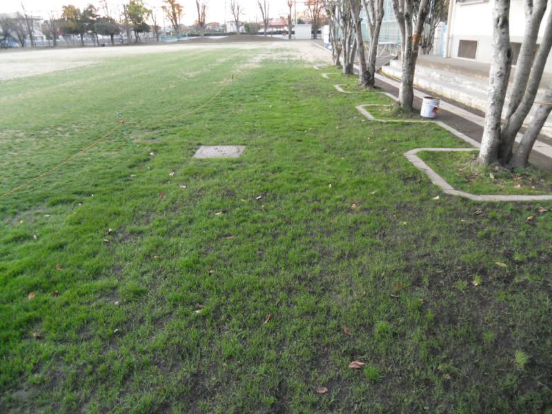 校庭の芝生はだれのためか_f0059673_1936029.jpg