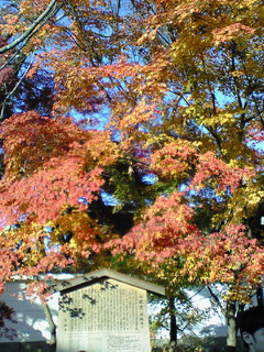 f0144773_202332.jpg