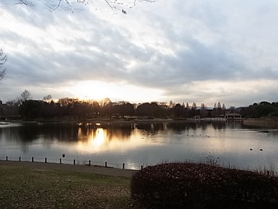 久しぶりに友人と・そしてちょっと気にいった夕景・_c0209377_2314249.jpg