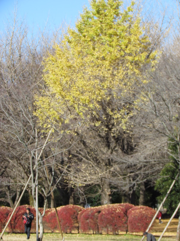 a0137279_854455.jpg