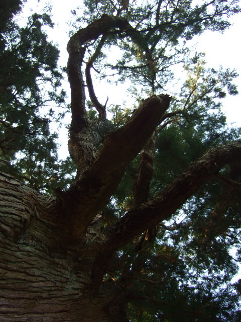 a0094280_21564167.jpg