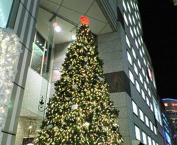 c0014187_20112231.jpg