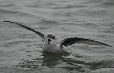 f0159390_1752720.jpg