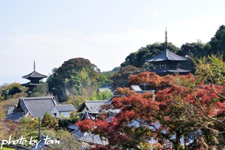 奈良大和路「当麻」～当麻寺「いにしえの２塔を同時に眺める」_b0155692_22582234.jpg