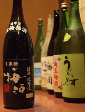 石垣島への思い_f0232994_3443760.jpg