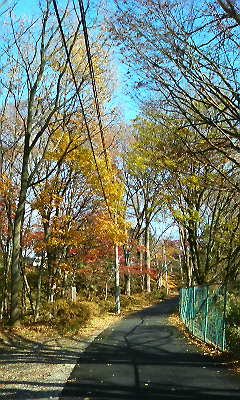 c0193396_1315854.jpg