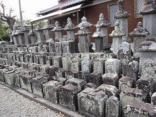 ２０１０水郷柳川（台照寺）をゆく（千寿の楽しい歴史）_a0137997_19515620.jpg