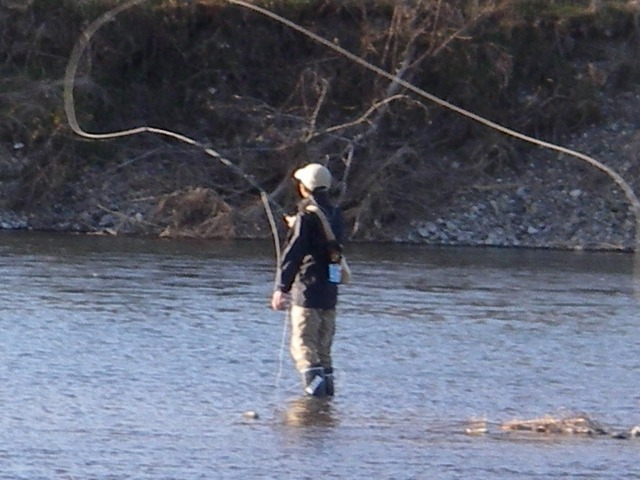 c0180802_1759940.jpg