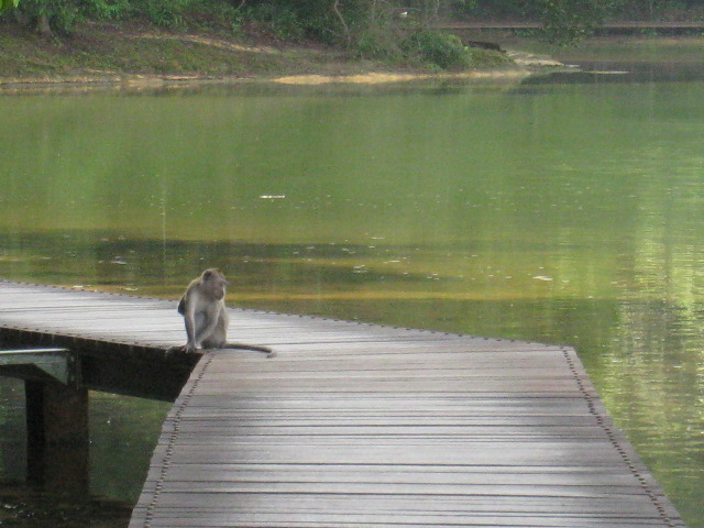 c0212604_22135246.jpg