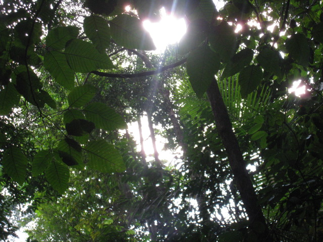 c0212604_22142245.jpg