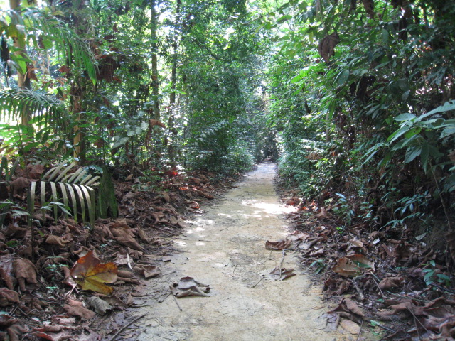 c0212604_221496.jpg