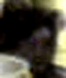 e0103408_16474797.gif