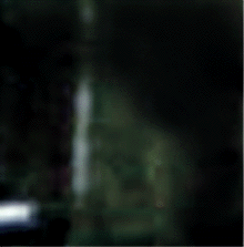 e0103408_16565990.gif