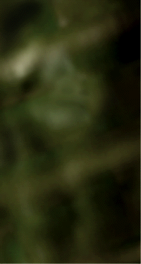 e0103408_16571470.gif