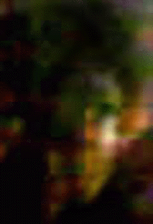 e0103408_16573045.gif