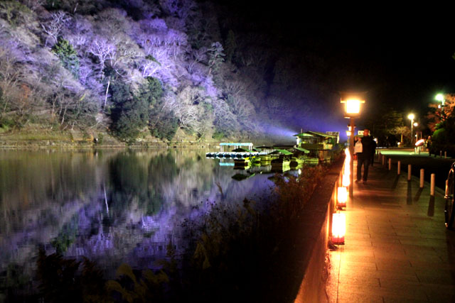 京都・嵐山花灯路1 渡月橋あたり_e0048413_14321966.jpg